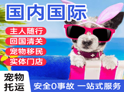 忻州机场快运国际宠物托运 【国